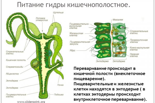 Kraken 17at сайт