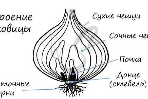 Кракен ссылки тор рабочая